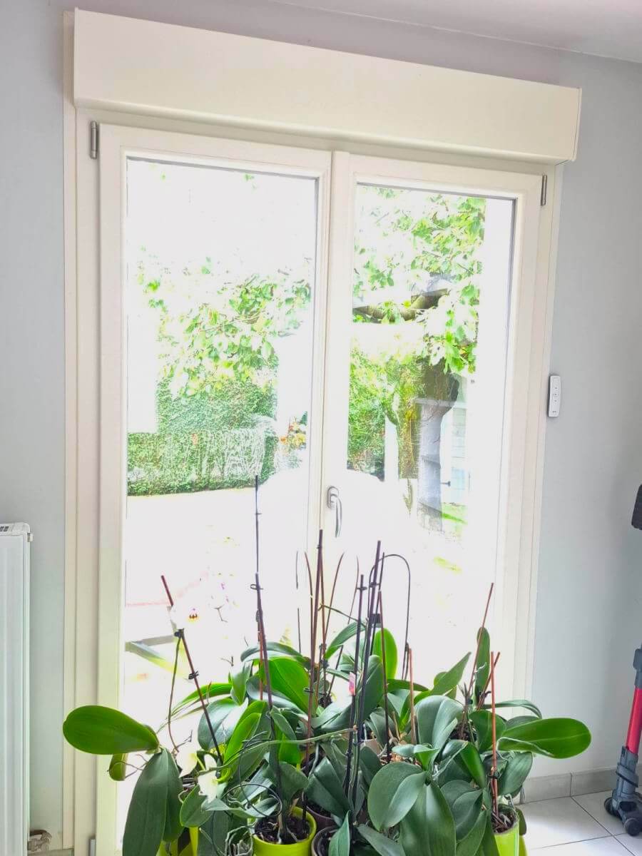 Porte-fenêtre ouvrant sur le jardin